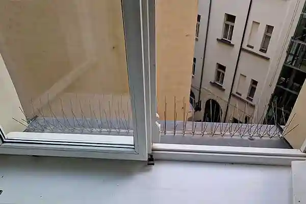 Taubenspikes Taubenspikes auf einer Fensterbank